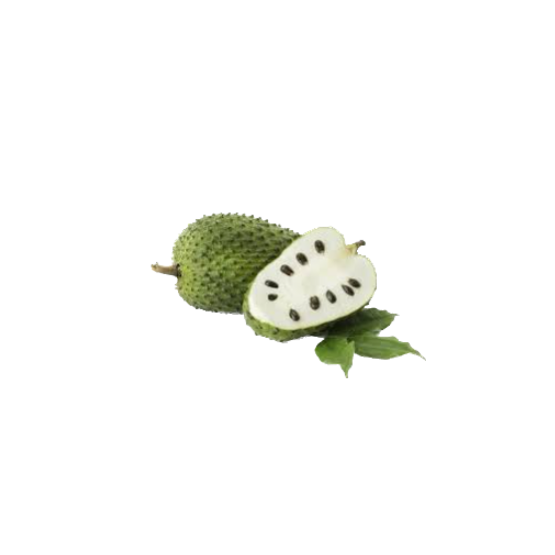 Soursop Root